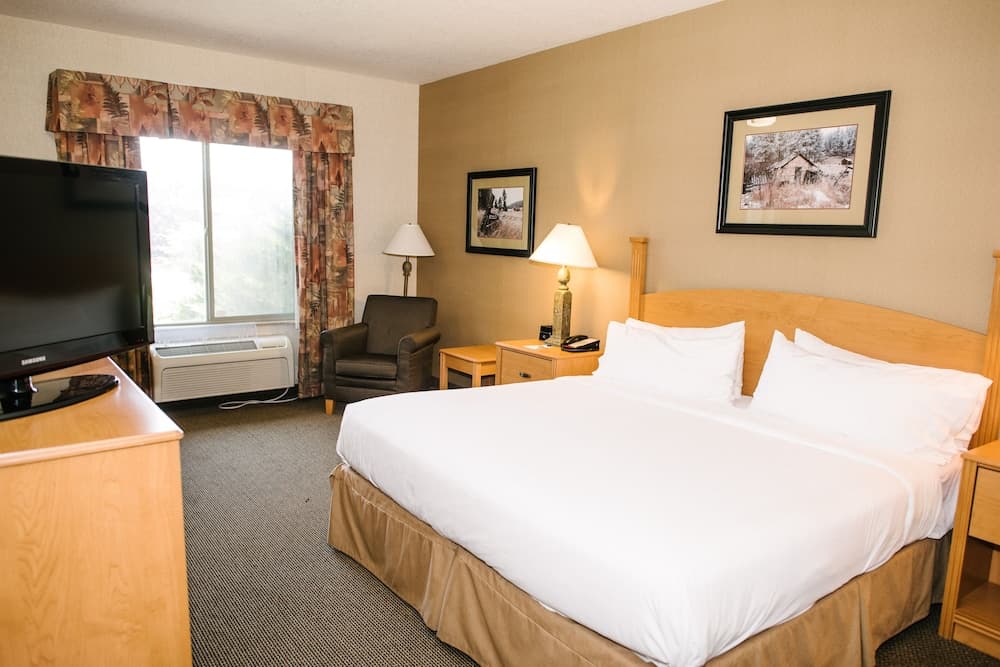 Holiday Inn Express Hotel & Suites Custer by IHG interior in Custer, SD — gallery photo 2