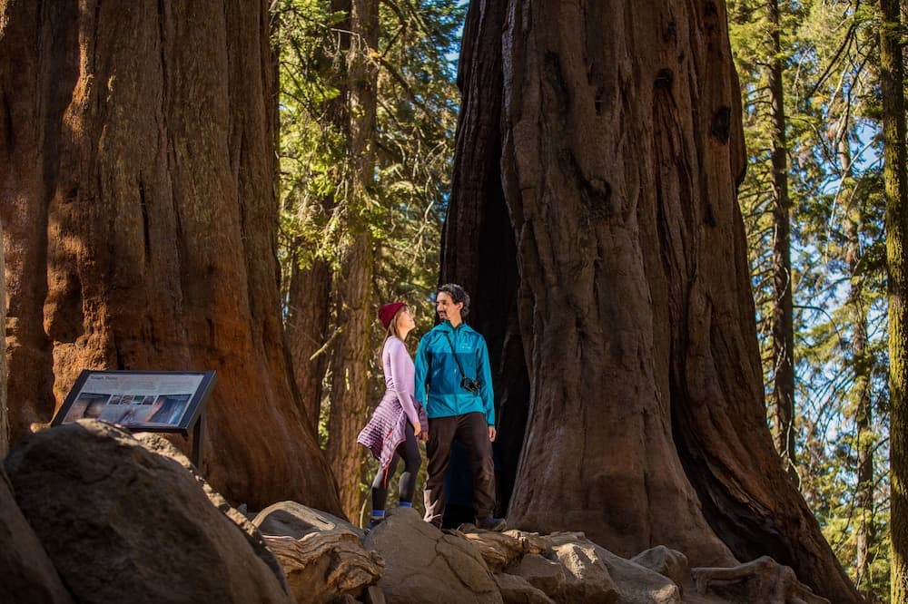 Wuksachi Lodge gallery photo in Sequoia National Park, CA — image 55