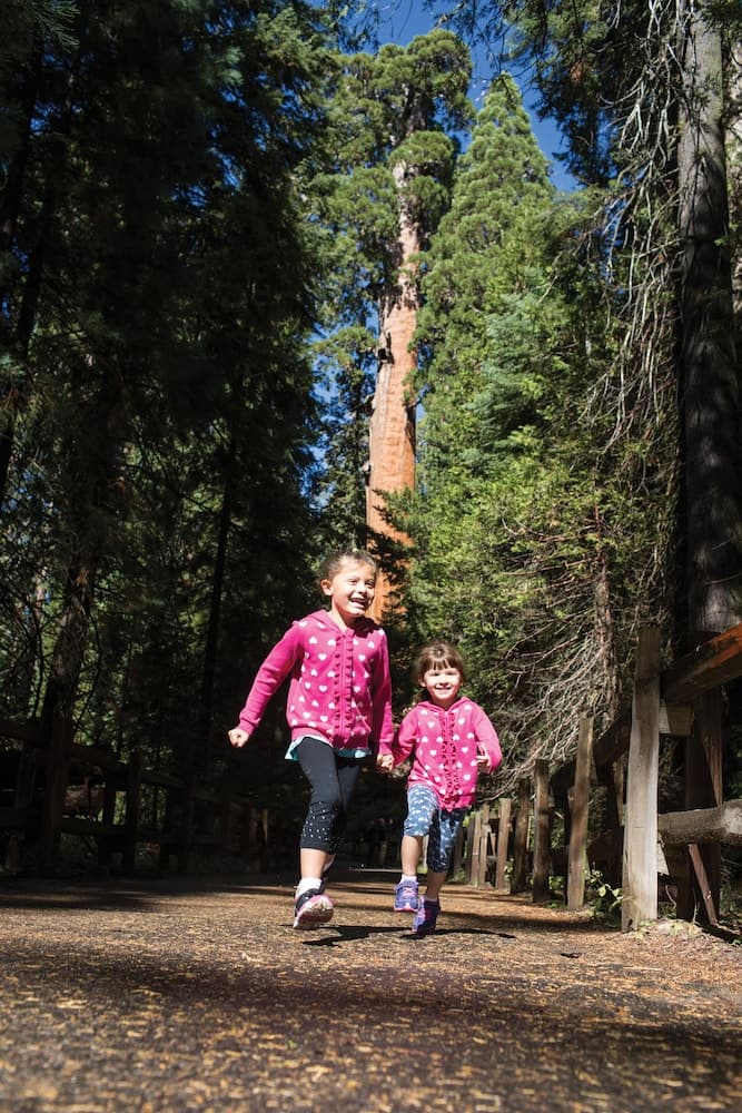 Wuksachi Lodge gallery photo in Sequoia National Park, CA — image 6