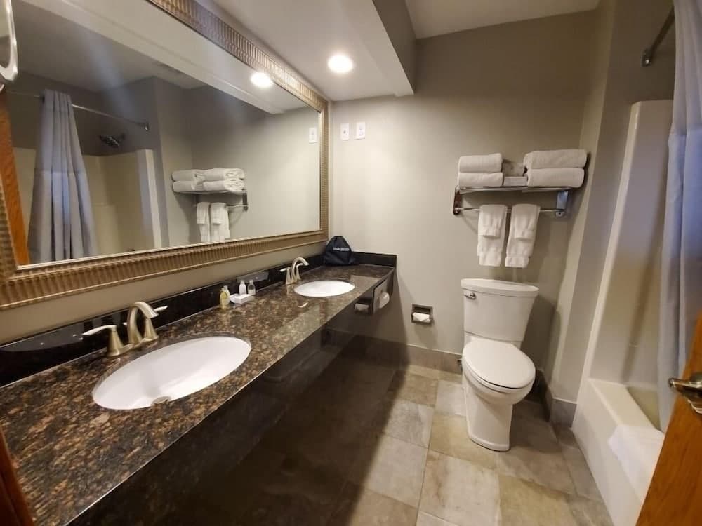 Express Suites Riverport Inn & Suites gallery photo in Winona, MN — image 40