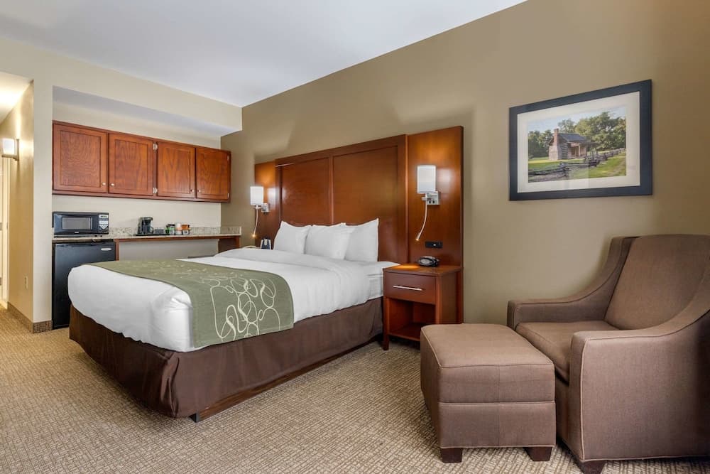 Comfort Suites Johnson City near University gallery photo in Johnson City, TN — image 29