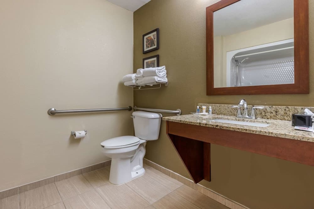 Comfort Suites Johnson City near University gallery photo in Johnson City, TN — image 39