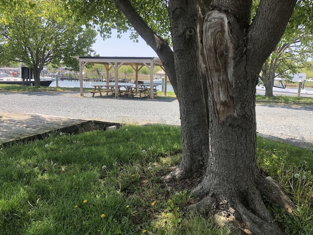 Knapps Narrows Marina & Inn gallery photo in Tilghman, MD — image 5