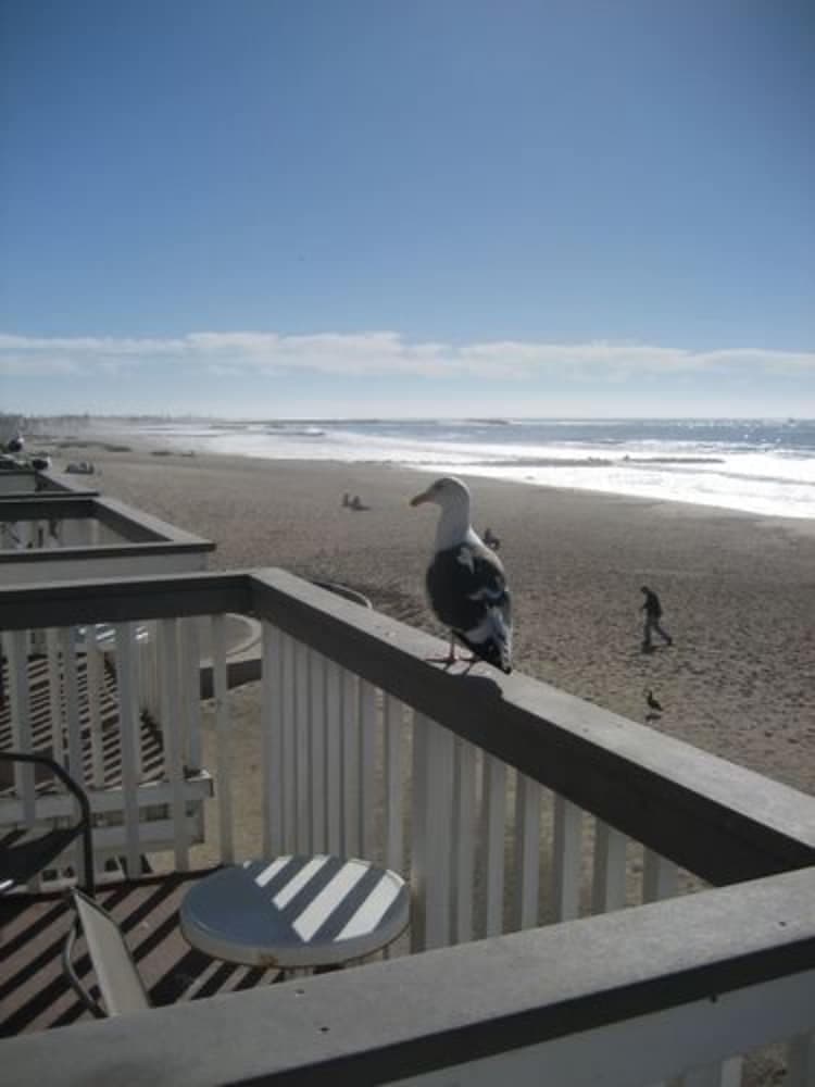 Inn On The Beach gallery photo in Ventura, CA — image 6