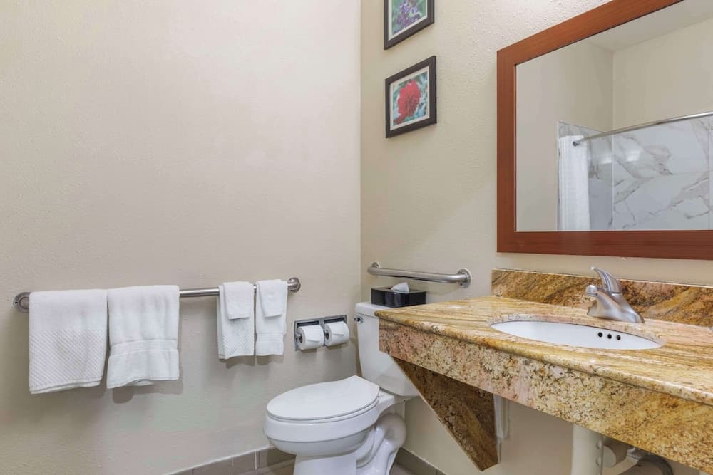 Comfort Inn & Suites Temple - Medical Center gallery photo in Temple, TX — image 7