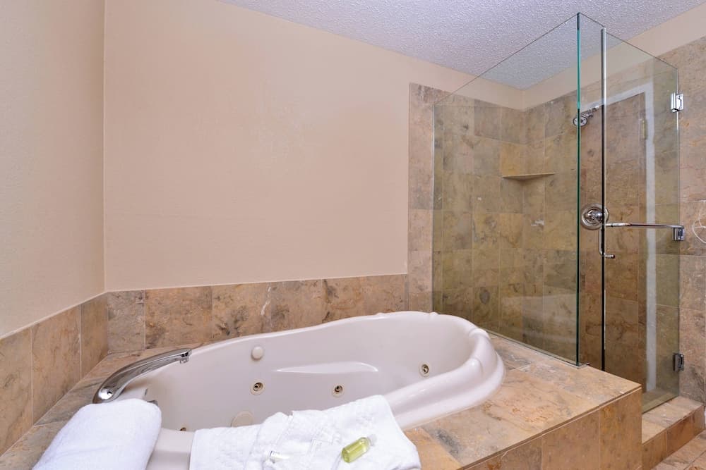 Towneplace Suites by Marriott Warren gallery photo in Warren, MI — image 26
