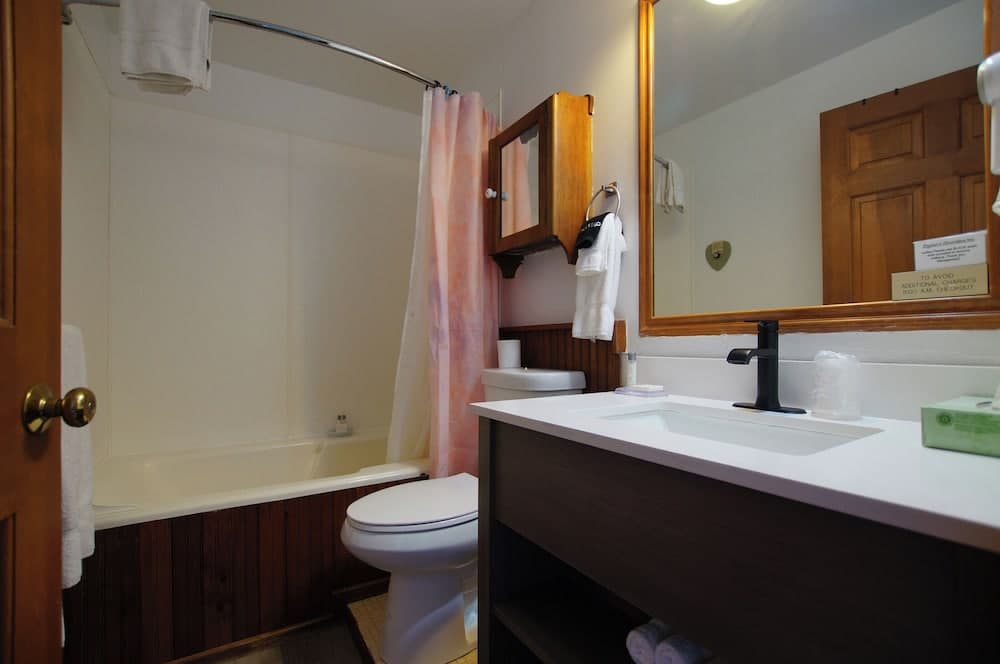 Snyder's Shoreline Inn gallery photo in Ludington, MI — image 156