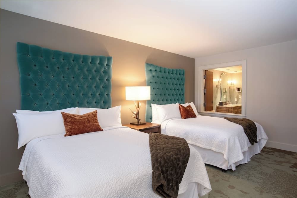 Grand Bohemian Lodge Asheville, Autograph Collection® property views in Asheville, NC — gallery photo 3