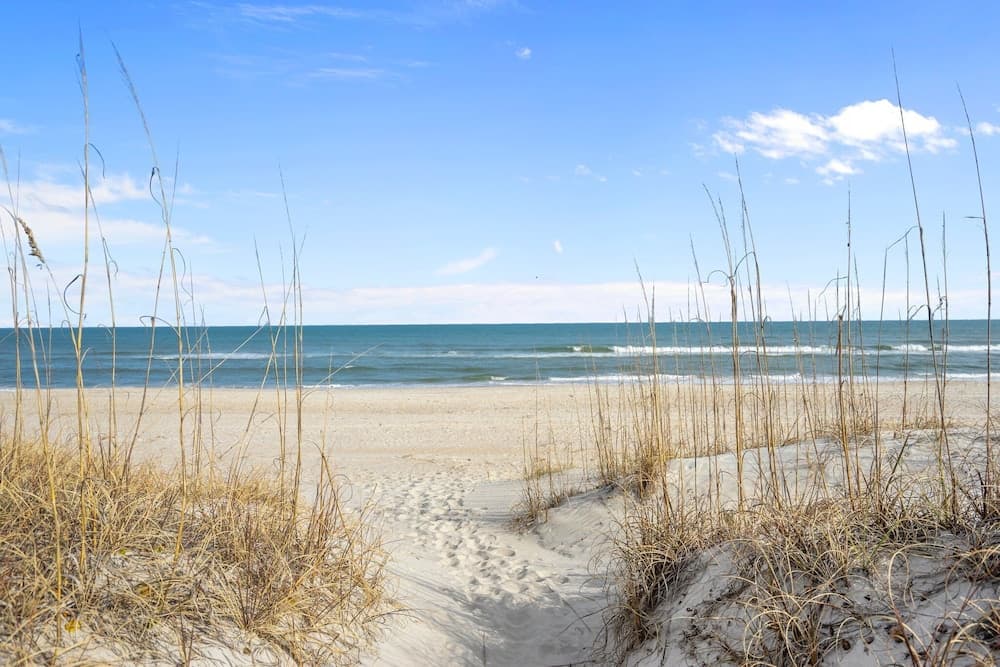 The Beach House gallery photo in Carolina Beach, NC — image 8