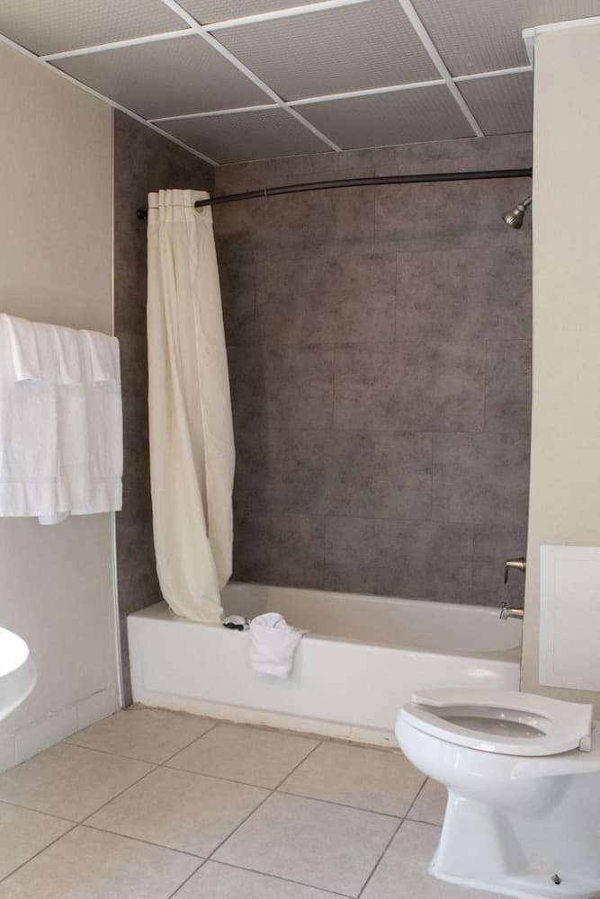 Hotel Chataura gallery photo in Dearborn, MI — image 14