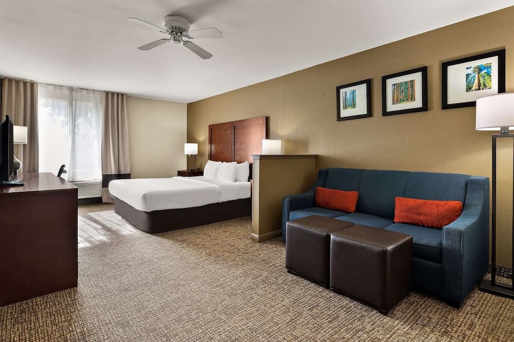 Comfort Inn & Suites Sequoia/Kings Canyon gallery photo in Three Rivers, CA — image 21