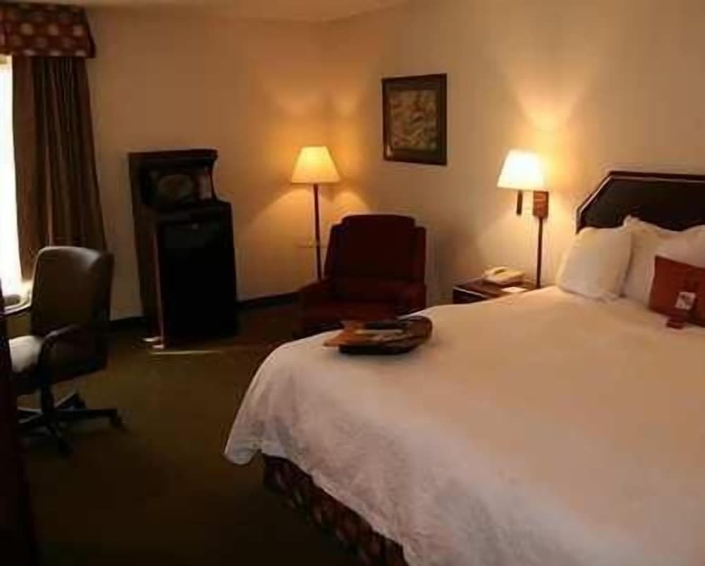 Hampton Inn Bremen I 20 property views in Bremen, GA — gallery photo 3