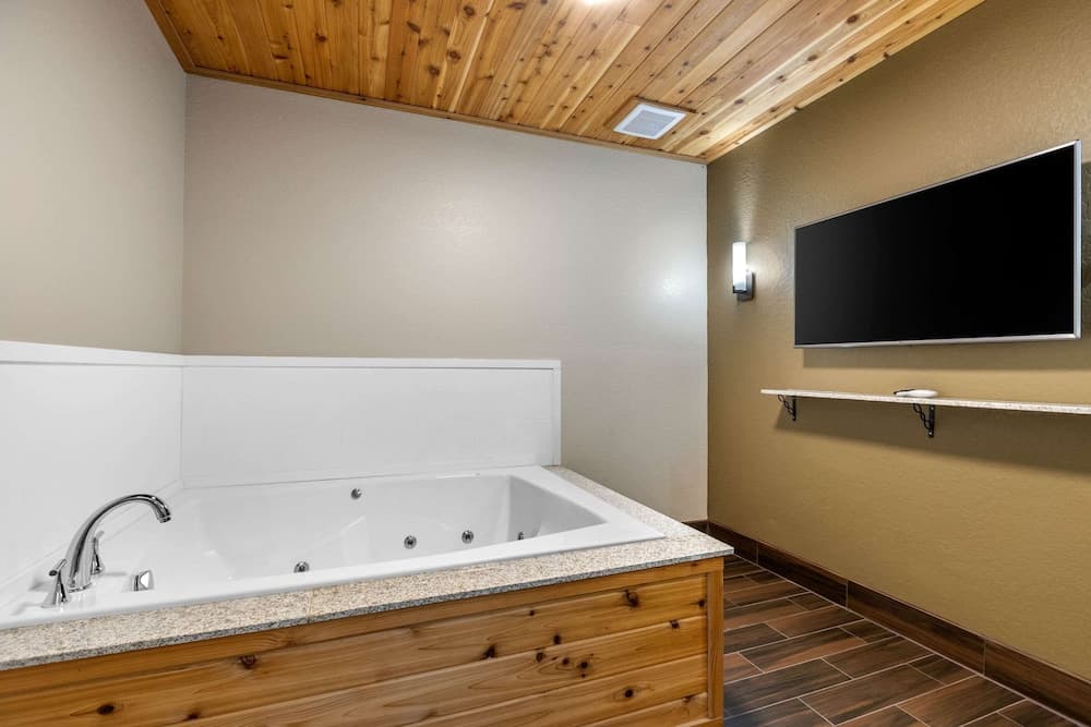 Comfort Inn & Suites Cedar Rapids CID Eastern Iowa Airport property views in Cedar Rapids, IA — gallery photo 3