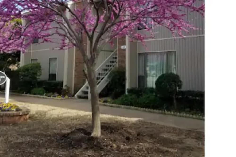 OU-2 Bedroom 1 bath next OU gallery photo in Norman, OK — image 11