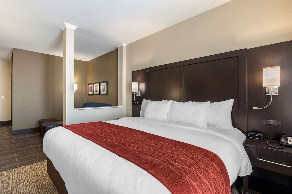 Comfort Inn & Suites Cedar Rapids CID Eastern Iowa Airport gallery photo in Cedar Rapids, IA — image 46