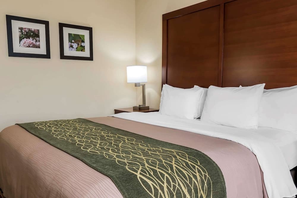 Comfort Inn - Pocono Mountains gallery photo in White Haven, PA — image 16