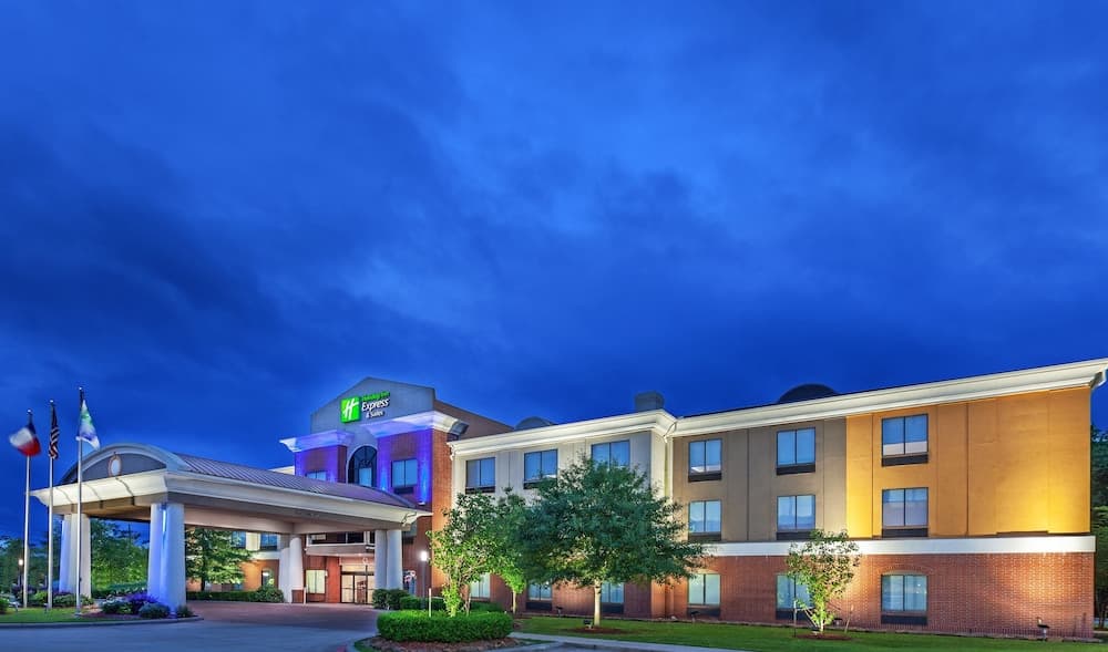 Holiday Inn Express Hotel & Suites Orange by IHG gallery photo in Orange, TX — image 32