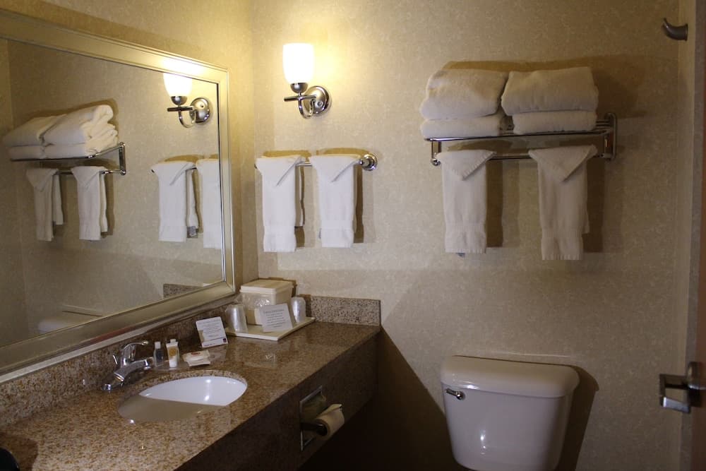 Comfort Suites Canton - Detroit gallery photo in Canton — image 21
