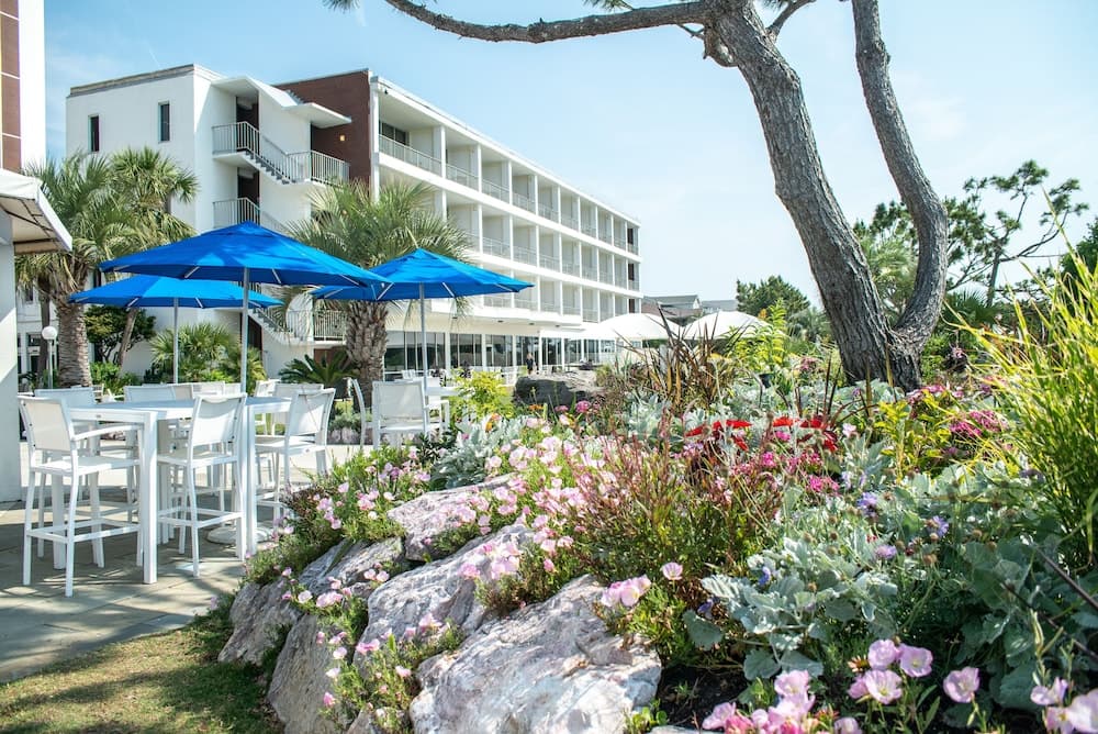 Trailborn Surf and Sound, Outdoor Collection by Marriott Bonvoy gallery photo in Wrightsville Beach, NC — image 61
