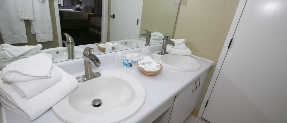 Black Bear Lodge property views in Waterville Valley — gallery photo 3