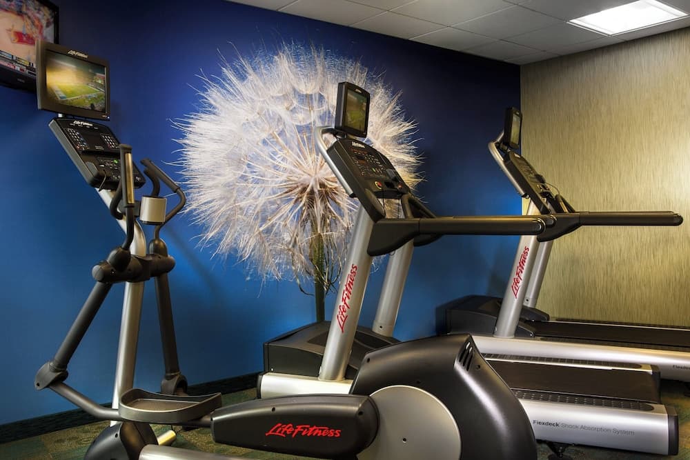 SpringHill Suites by Marriott Dallas DFW Airport N/Grapevine interior in Grapevine, TX — gallery photo 2