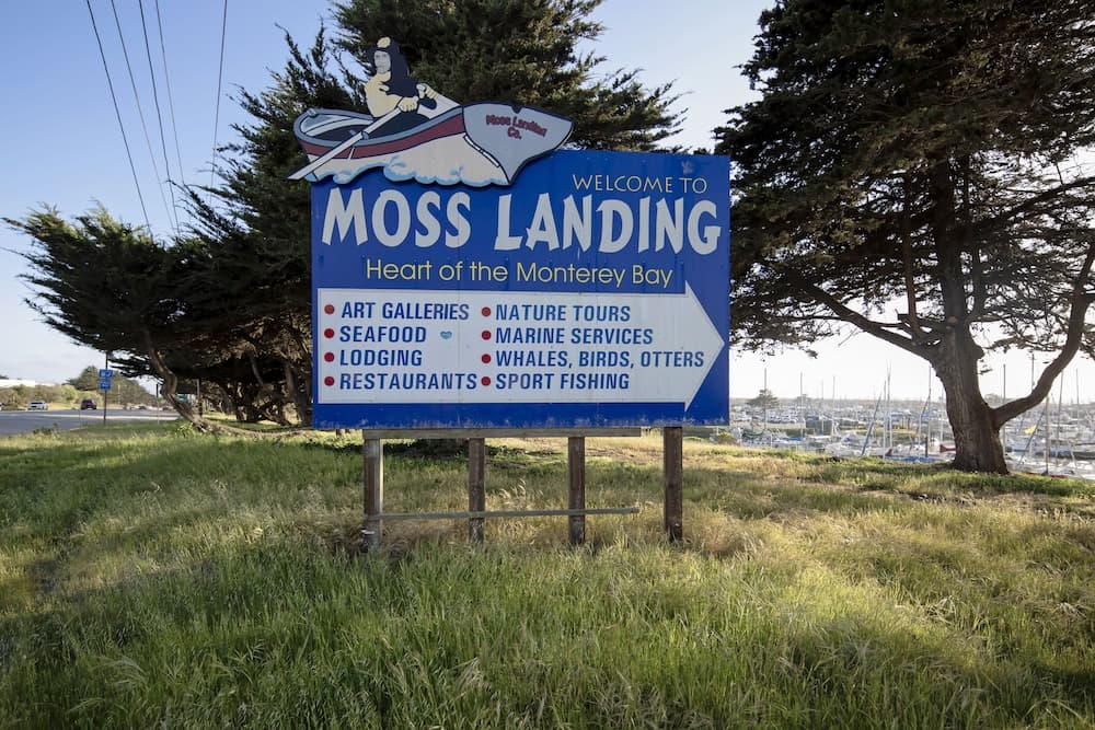 Inn At Moss Landing Point gallery photo in Moss Landing, CA — image 38