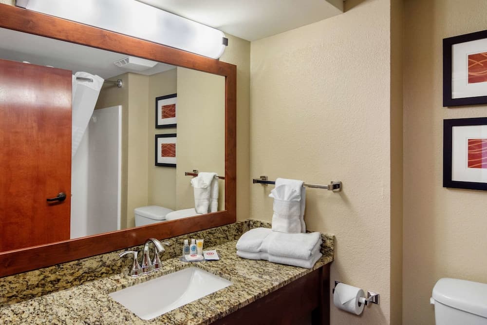Comfort Inn & Suites LaGrange East gallery photo in LaGrange, GA — image 18