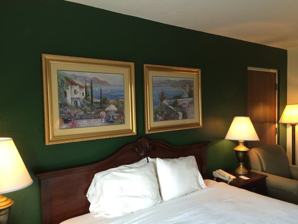 Ruskin Inn Hotel gallery photo in Ruskin, FL — image 34