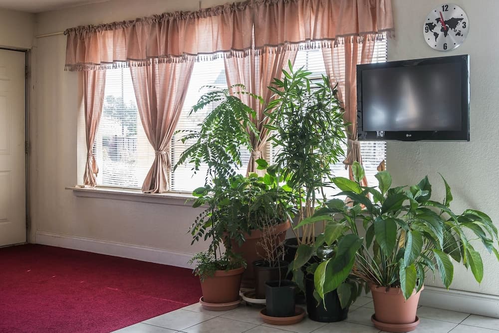 Rodeway Inn Marietta near Dobbins ARB property views in Marietta, GA — gallery photo 3