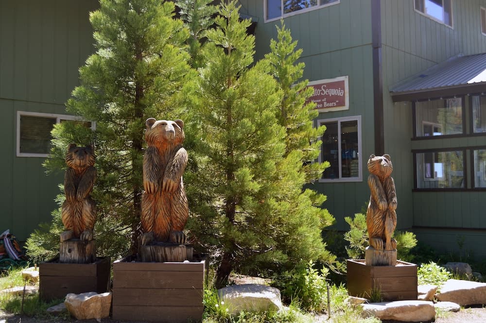 Montecito Sequoia Lodge gallery photo in Kings Canyon National Park, CA — image 41