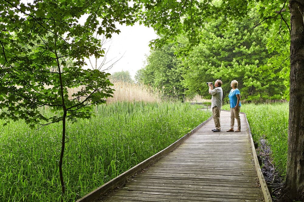 Maumee Bay Lodge and Conference Center gallery photo in Oregon, OH — image 35