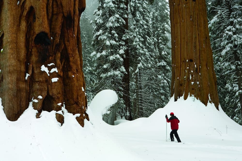 Wuksachi Lodge gallery photo in Sequoia National Park, CA — image 27