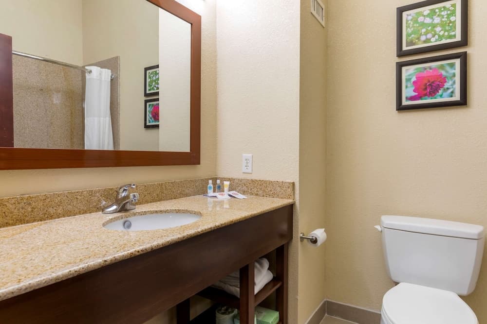 Comfort Suites Copperas Cove property views in Copperas Cove, TX — gallery photo 3