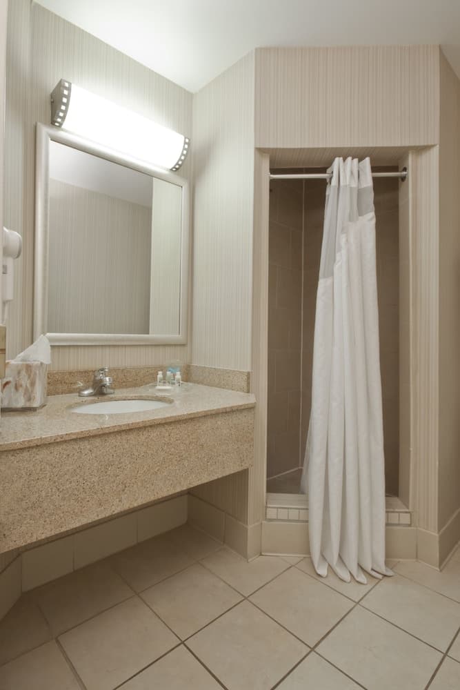 Wyndham Flint MI/Grand Blanc/Bishop Airport/Conference Ct interior in Flint, MI — gallery photo 2