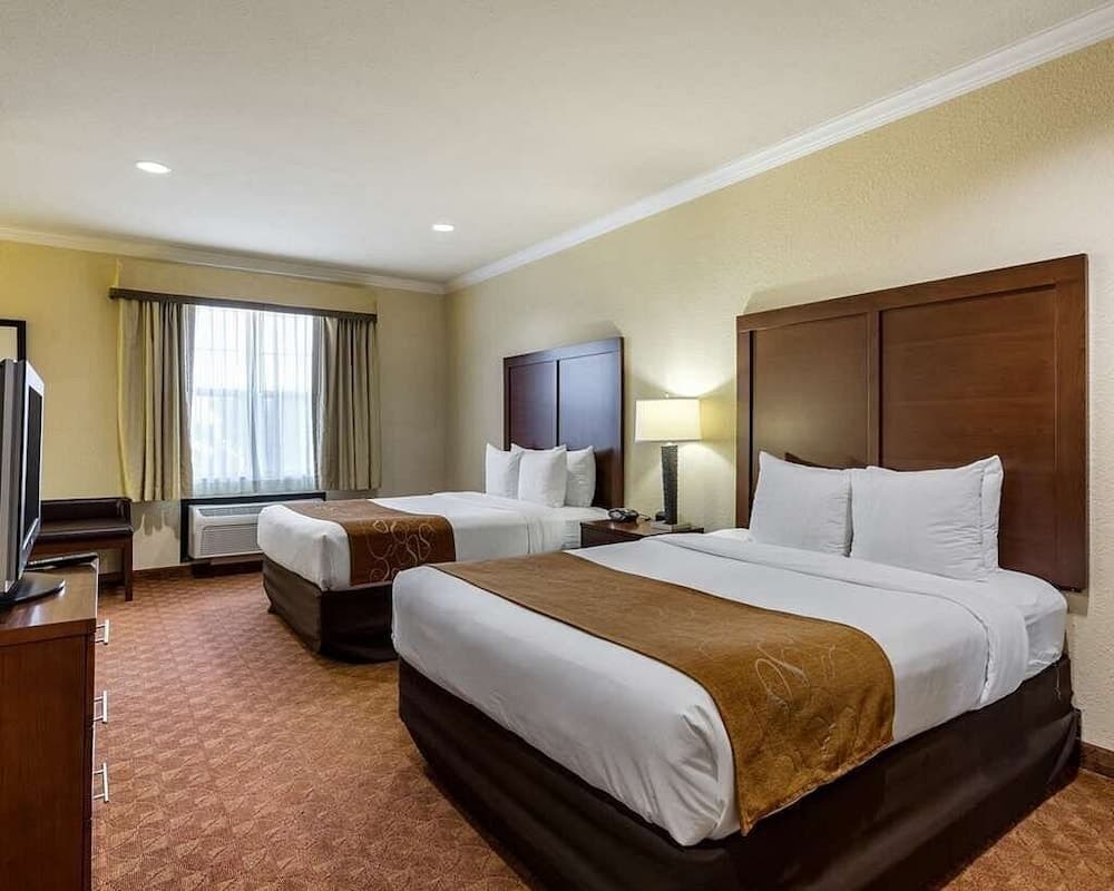 Comfort Suites Near Nasa Clear Lake interior in Webster, TX — gallery photo 2