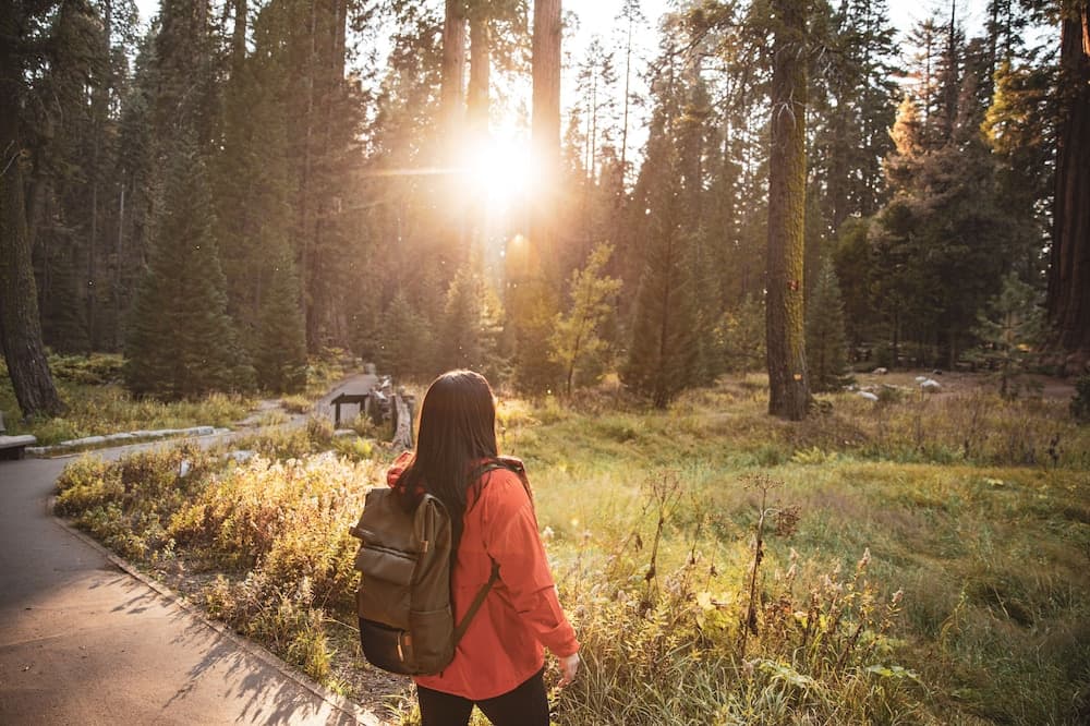 Wuksachi Lodge gallery photo in Sequoia National Park, CA — image 29