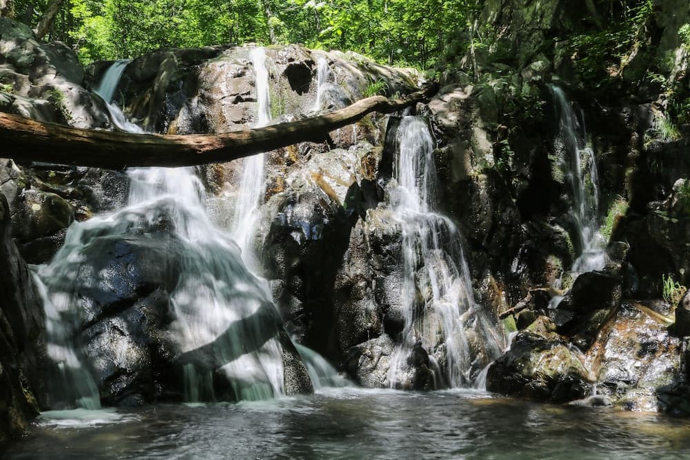 Big Meadows Lodge gallery photo in Luray, VA — image 51