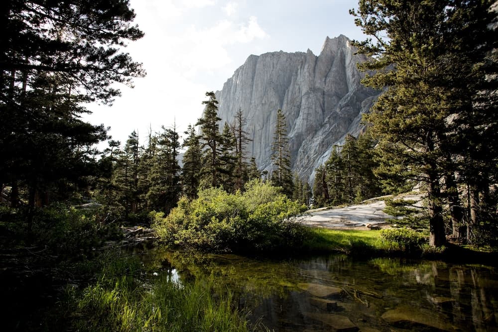 Wuksachi Lodge gallery photo in Sequoia National Park, CA — image 18