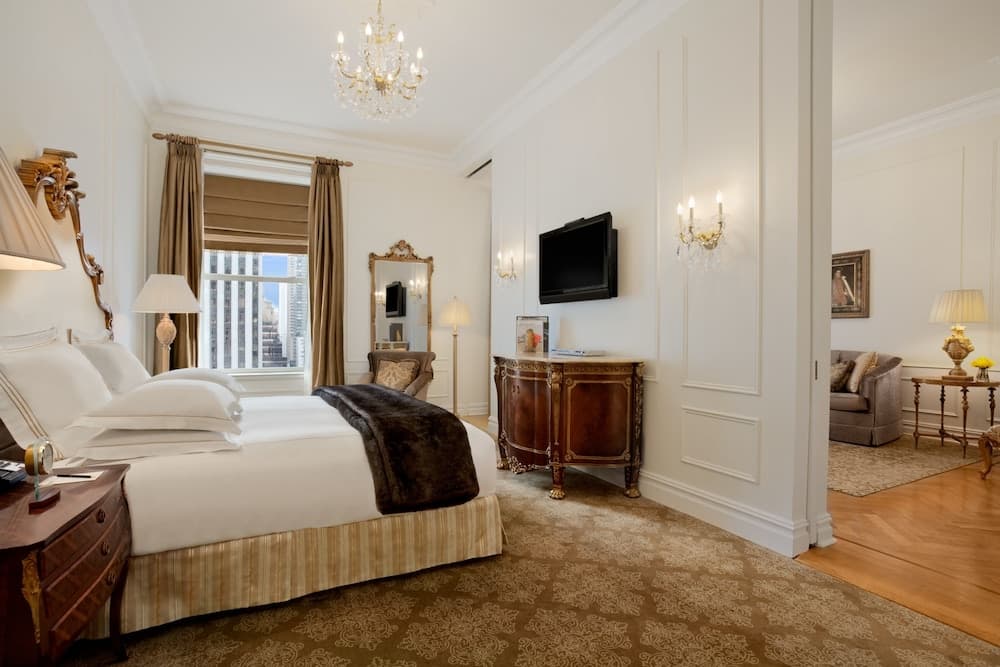 The Plaza - A Fairmont Managed Hotel property views in New York, NY — gallery photo 3