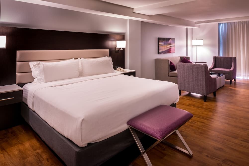 Holiday Inn Hotel & Suites Beaumont Plaza (I-10 & Walden) by IHG gallery photo in Beaumont, TX — image 6
