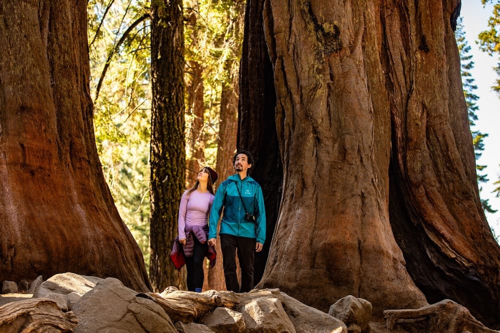Wuksachi Lodge gallery photo in Sequoia National Park, CA — image 46