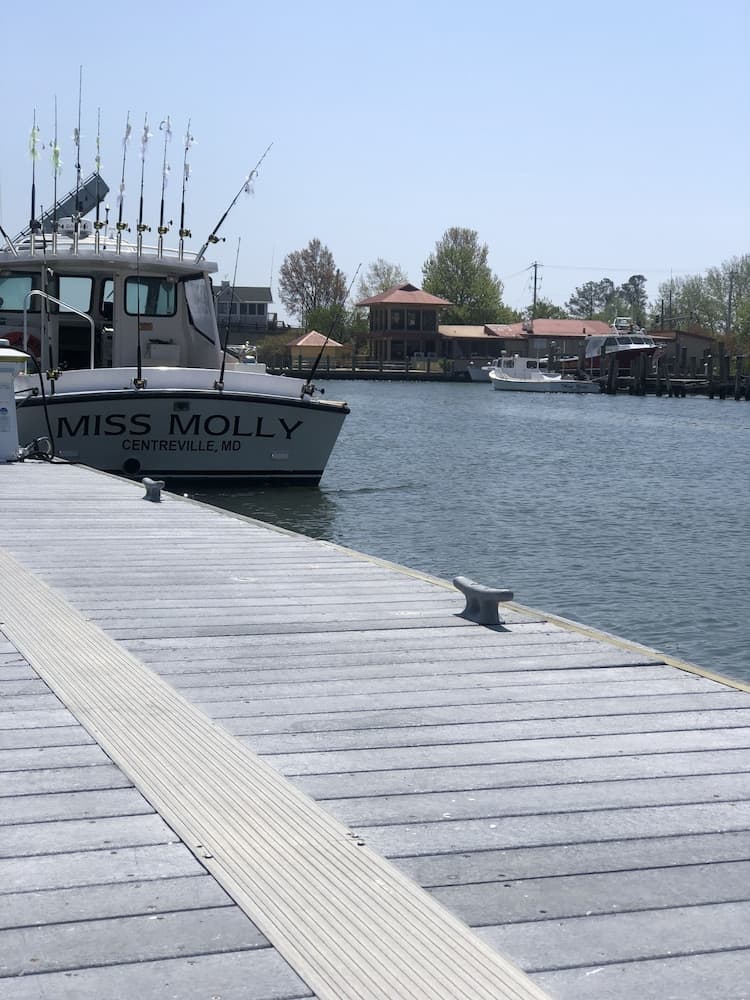 Knapps Narrows Marina & Inn gallery photo in Tilghman, MD — image 53