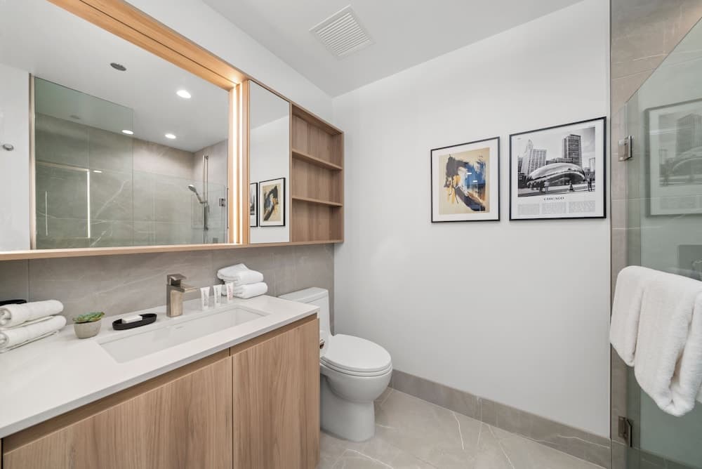 Level Chicago Fulton Market property views in Chicago, IL — gallery photo 3