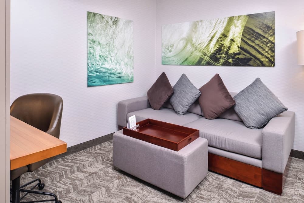 Springhill Suites by Marriott Temecula Wine Country gallery photo in Temecula, CA — image 37