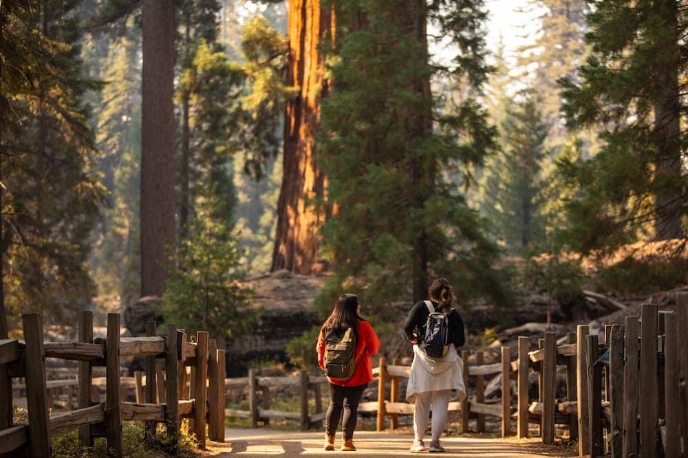 Wuksachi Lodge gallery photo in Sequoia National Park, CA — image 39
