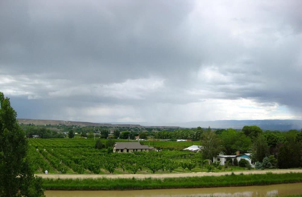 Wine Country Inn Palisade gallery photo in Palisade, CO — image 13