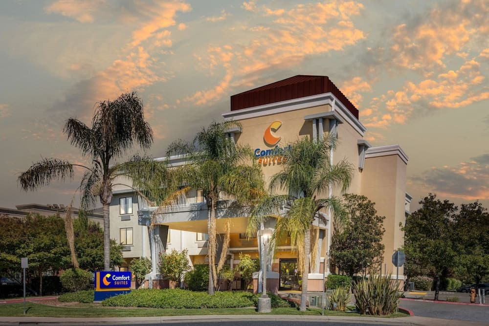 Comfort Suites Vacaville-Napa Valley Area gallery photo in Vacaville, CA — image 28