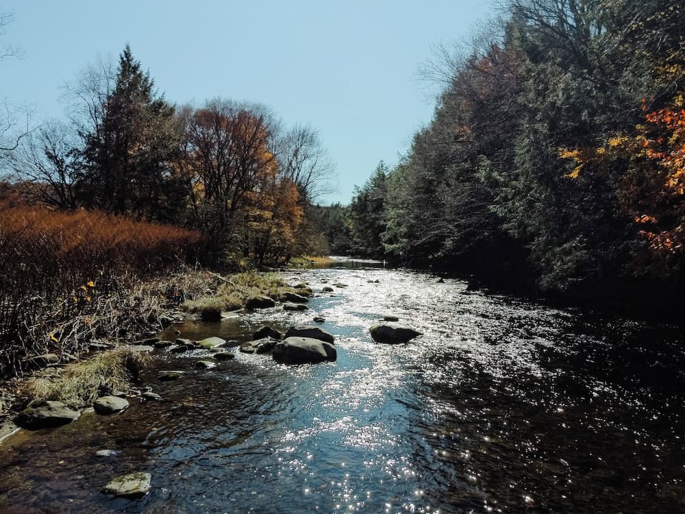 Antrim Streamside gallery photo in Livingston Manor, NY — image 43