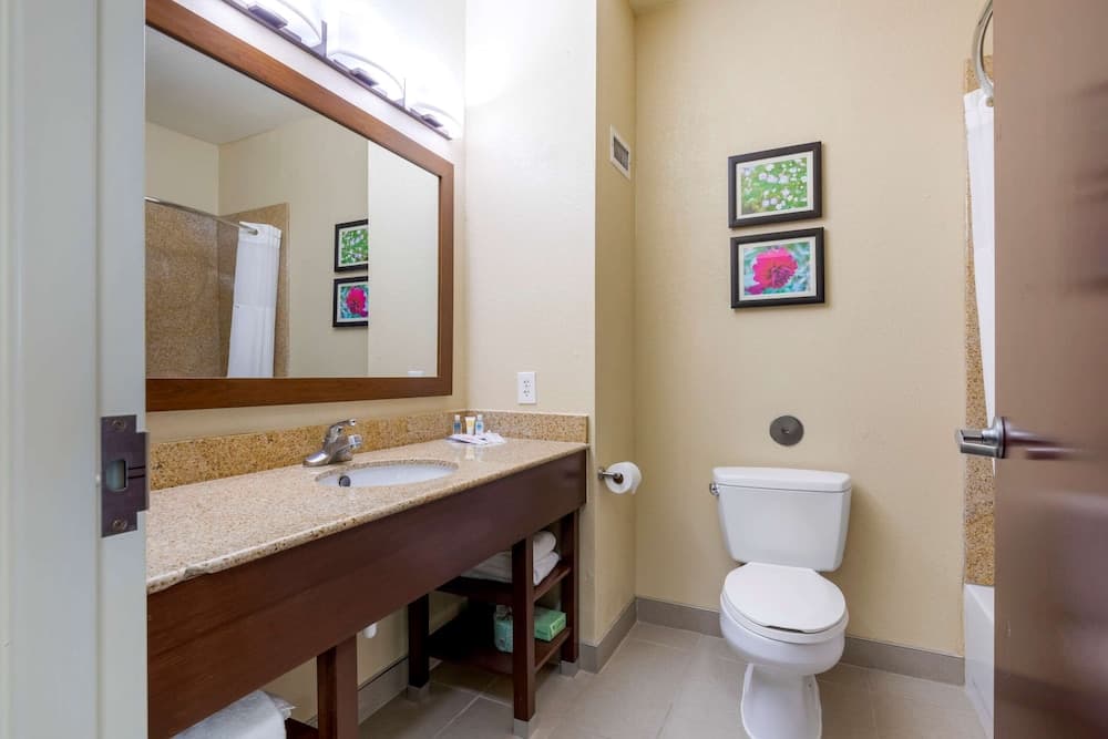 Comfort Suites Copperas Cove gallery photo in Copperas Cove, TX — image 19