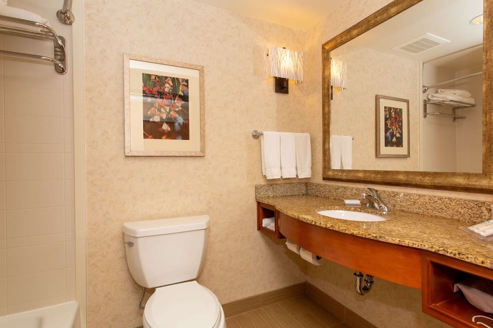 Hilton Garden Inn Cedar Falls gallery photo in Cedar Falls, IA — image 16